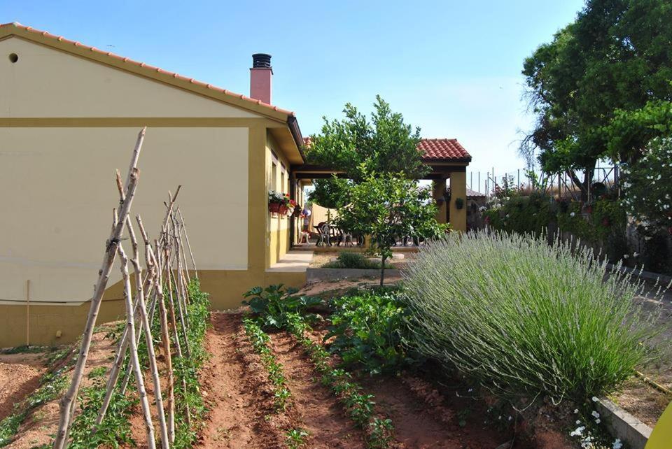 Apartamentos La Bodega Del Abuelo Bujalaro Exterior photo